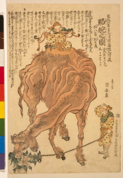 骆驼，酒吧。 1824年（手工彩色木刻） 作者 歌川国安