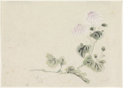紫色和白色菊花 作者 歌川国义