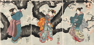 Yoru no sakura [夜晚的樱花树]，约1846年（木刻版画） 作者 歌川国义