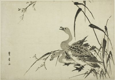 大雁和芦苇 作者 歌川丰洋
