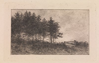 奥古斯塔 作者 Valdemar Schønheyder Møller