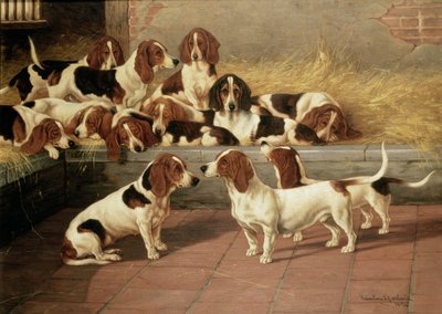 1894年，狗窝里的巴塞特猎犬 作者 Valentine Thomas Garland