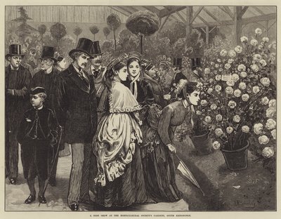 南肯辛顿园艺学会花园的玫瑰秀 作者 Valentine Walter Lewis Bromley