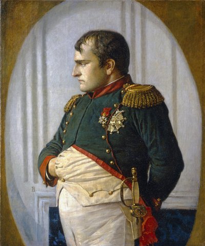 拿破仑在彼得罗夫斯基宫 作者 瓦西里·瓦西里耶维奇（Vasili Vasilievich Vereshchagin）
