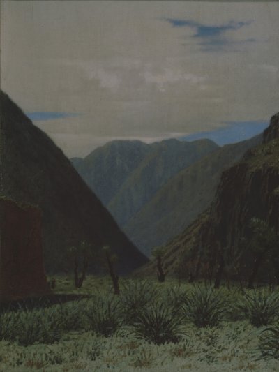 巴斯卡恩山口 作者 瓦西里·瓦西里耶维奇（Vasili Vasilievich Vereshchagin）