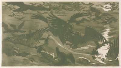猛禽，1893年。 作者 Victor Emile证明