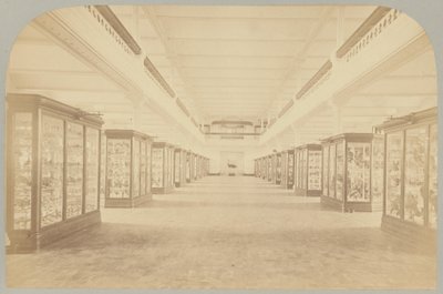 Pl.III.主要故事：鸟类 作者 Victor Prevost，Gaston L. Feuardent and Co.，纽约