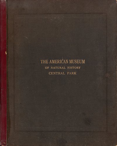 美国自然历史博物馆的摄影专辑，纽约市中央公园。 作者 Victor Prevost，Gaston L. Feuardent and Co.，纽约