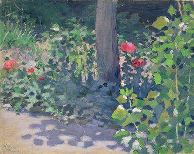 1894年花园里的罂粟研究 作者 维克多·埃尔皮迪佛罗维奇·鲍里索夫·穆萨托夫