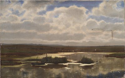 有沼泽的荒地 作者 Vilhelm Groth