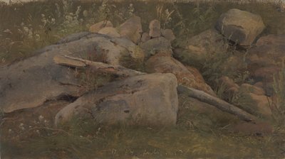 石堆的研究 作者 Vilhelm Petersen