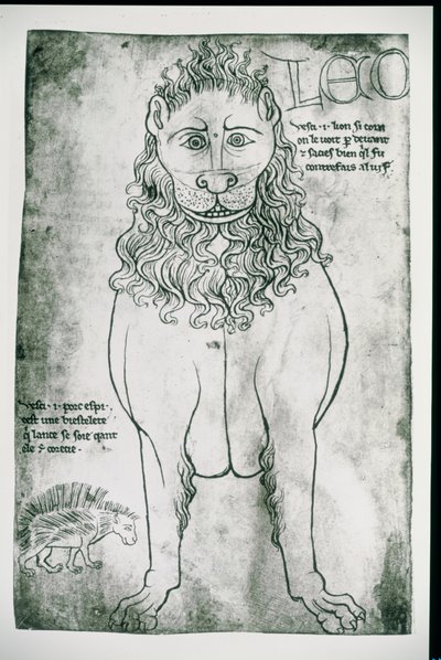 19093年女士fol.24v Lion and Porcupine（传真） 作者 比利亚德·德·洪内库特