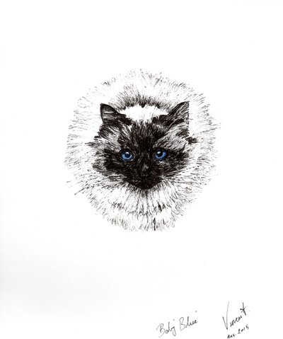 婴儿球，2015年，（墨水在纸上） 作者 文森特·亚历山大·布斯