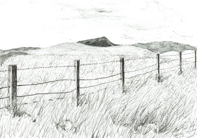 Culter Fell from Hartfell, 2005 作者 文森特·亚历山大·布斯