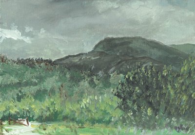Creag Dugh 的山丘，2006 作者 文森特·亚历山大·布斯