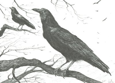 Observers, 2011 作者 文森特·亚历山大·布斯