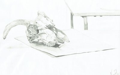 Skull 作者 文森特·亚历山大·布斯