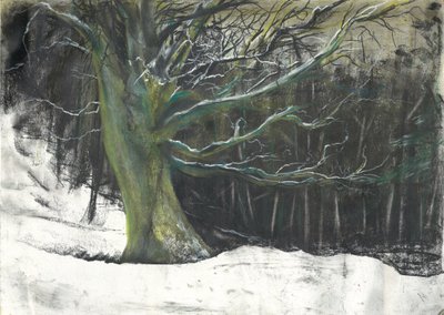 Tree in winter snow at Osmotherley woods 作者 文森特·亚历山大·布斯