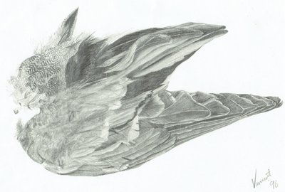 Wing 作者 文森特·亚历山大·布斯