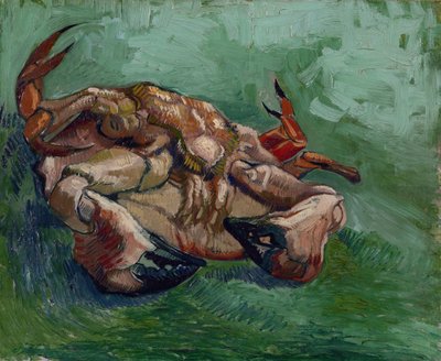 螃蟹在背上 par Gogh, Vincent, van (1853-1890).布面油画，尺寸：38x46,8 作者 文森特·梵高
