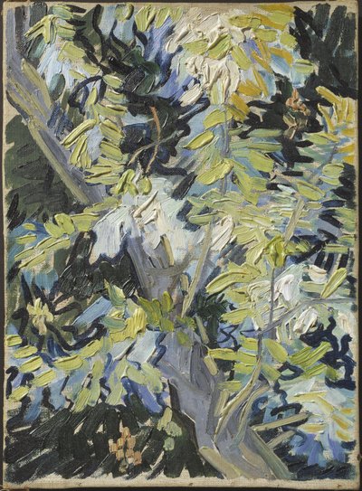 Acacia en fleur - Acacia Flowering，梵高、文森特、凡 (1853-1890)。 布面油画。 尺寸：33x24 厘米。 斯德哥尔摩国家博物馆 作者 文森特·梵高