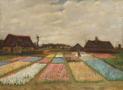 花坛在荷兰。约于1883年 作者 文森特·梵高