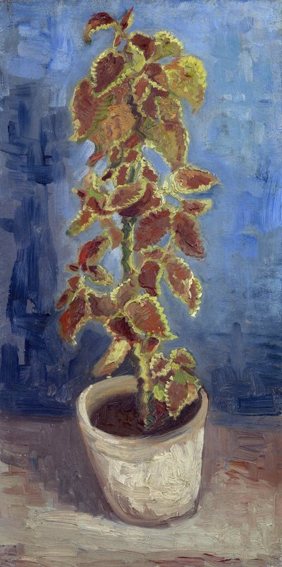 花盆里的火焰荨麻 par Gogh, Vincent, van (1853-1890).布面油画，尺寸：42,1x21,9 作者 文森特·梵高