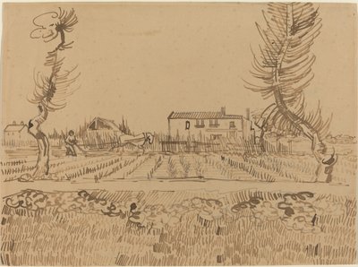 阿尔勒附近田野上的耕夫，1888年。 作者 文森特·梵高