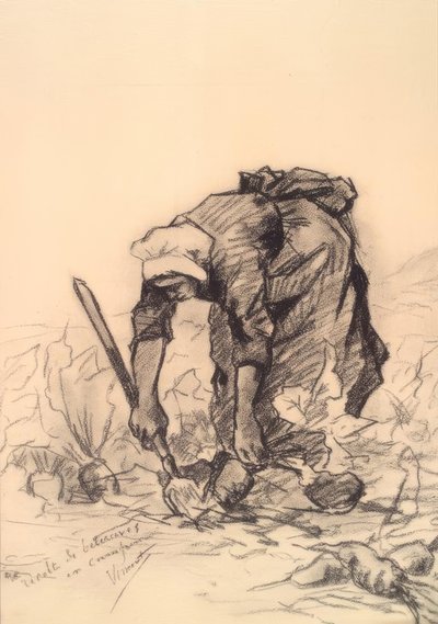 Rübenstecherin 作者 文森特·梵高
