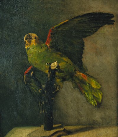 绿鹦鹉；绿鹦鹉，1885年 作者 文森特·梵高
