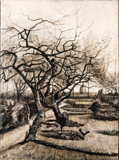 冬天 Nuenen 的牧师花园 - Oeuvre de Vincent, van Gogh (1853-1890) - 1884 - 纸上的钢笔、毛笔、墨水 - 51,5x38 - Szepmuveszeti Muzeum，布达佩斯 作者 文森特·梵高