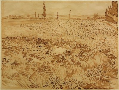 麦田 作者 文森特·梵高