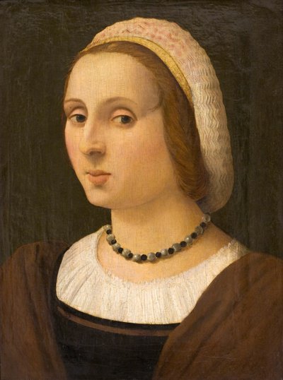 一位女士的画像 作者 温琴佐·塔玛尼（Vincenzo Tamagni）