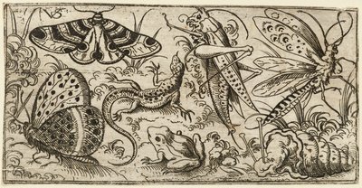 草地上的昆虫和动物群..., 1530 - 1562.   作者 维吉尔·索利斯
