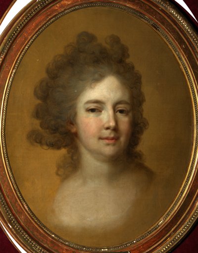 符腾堡玛丽亚·费奥多罗夫娜·索菲·多萝西娅女皇的肖像1759-1828，1796年 作者 弗拉基米尔·卢基希·波罗维科夫斯基