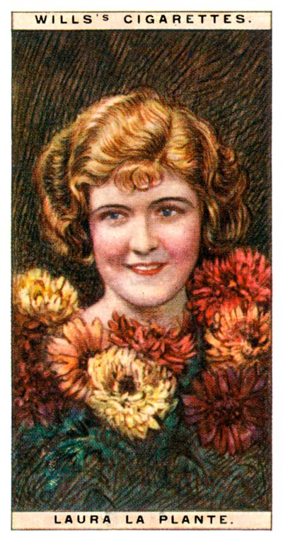 劳拉·普兰特（Laura la Plante）1904-1996，美国女演员，1928年。 作者 WD和HO遗嘱