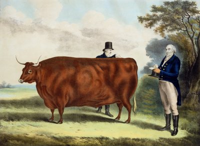 TW Coke先生的肖像。和Clerk Hilliard Esq。与北德文郡牛（彩色雕刻） 作者 戴维斯