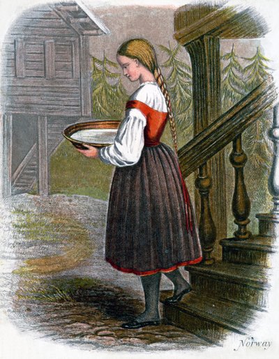 挪威农家女，1809年。 作者 狄克斯