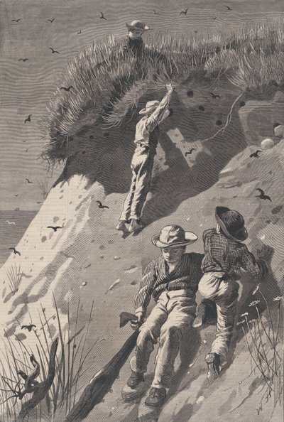 突袭沙燕殖民地--有多少蛋 哈珀周刊》，第十八卷，1874年6月13日。 作者 WH拉加德