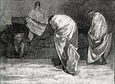 1866年，西奥多皇帝从“卡塞尔的英国插图史”中赐予观众 作者 赫瑟尔