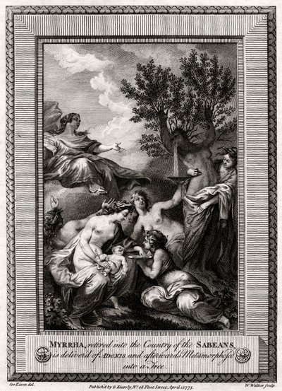 没药，被退回了大豆国家，交付了Adonis ...，1775年 作者 沃克
