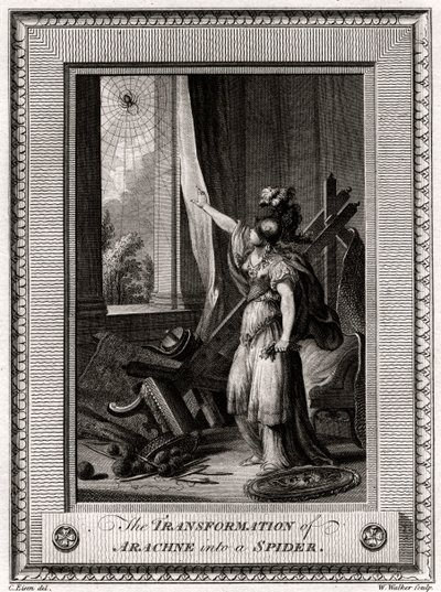 蜘蛛变身为蜘蛛，1775年 作者 沃克