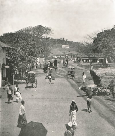 锡兰可伦坡市政厅附近的街景，1895年。 作者 W和S有限公司