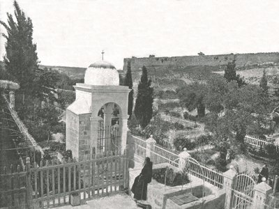 巴勒斯坦客西马尼园，1895年。 作者 W和S有限公司