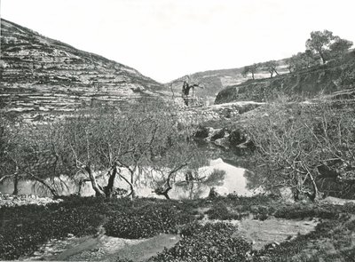 西洛阿姆水池，耶路撒冷，巴勒斯坦，1895年。 作者 W和S有限公司