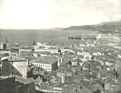镇和海港，意大利的里雅斯特，1895年。 作者 W和S有限公司