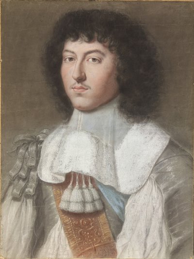 法国国王路易十四的肖像，1638-1715年，1660年。 作者 Wallerant Vaillant