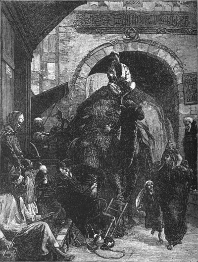 开罗的狭窄道路，c1882 作者 Walter Charles Horsley