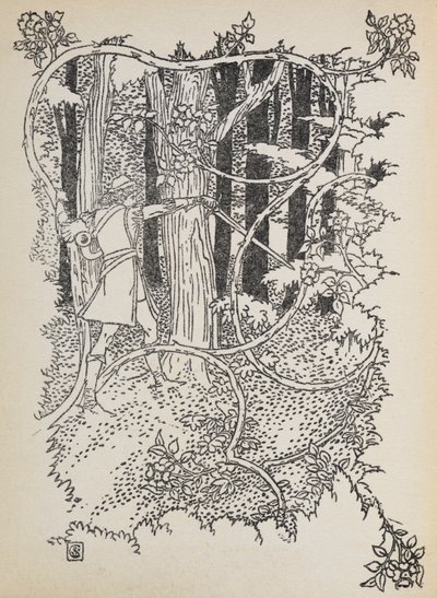 白马王子穿过杂草丛生的森林，来到睡美人身边。 作者 沃尔特克兰