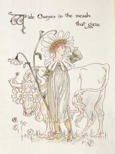“迷雾中的野生牛眼迷”，插图为“植物群的盛宴，鲜花面膜” 作者 沃尔特克兰